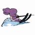 Water Skiing Bunny