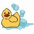 Rubber Duck