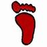 Foot