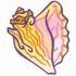 Conch Shell