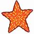 Starfish #2