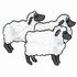 Little Bo Peep¡¯s Sheep