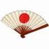 Japanese Folding Fan