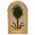 Palm Design