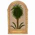 Palm Design