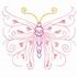 Tulip Butterfly