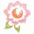 Flower 6