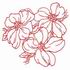 Dogwood