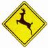 Deer Crossing