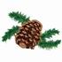 Pine Cone