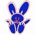 Bunny Applique