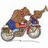 Motorcycle Bears