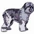 Old English Sheepdog