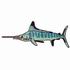 Striped Marlin