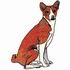 Basenji