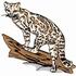 Ocelot