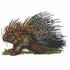 Crested Porcupine