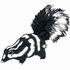 Spotted Skunk