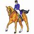 Dressage