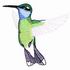 Blue-Throated Hummingbird