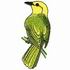 Yellow Warbler