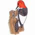 Red-Headed Woodpecker