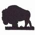 American Bison