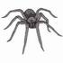 Hunting Wolf Spider