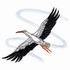 White Stork