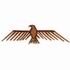 Hawk
