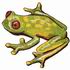 Bare Hearted Glass Frog