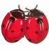 Ladybugs