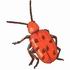 Spotted Asparagus Beetle