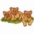 Lion Cubs