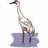 Whooping Crane