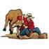 Steer Wrestler