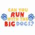 Can You Run With the Big Dogs?