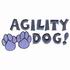 Agility Dog