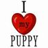 I Love My Puppy