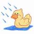 Ducky in the Rain