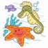 Seahorse & Starfish