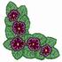 African Violet Corner
