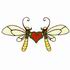 Dragonflies