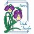 Pansy