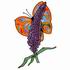 Stained Glass Butterfly