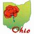 Ohio - Scarlet Carnation