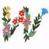 Flower W