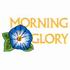 Morning Glory