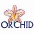 Orchid