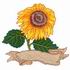 Sunflower Logo